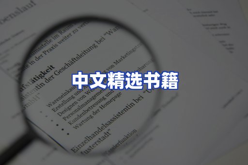 中文精选书籍